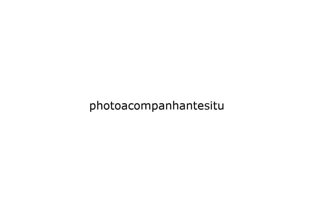 photoacompanhantesitu