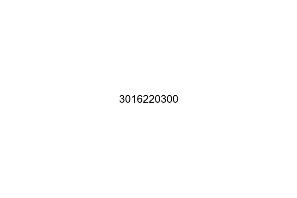 3016220300