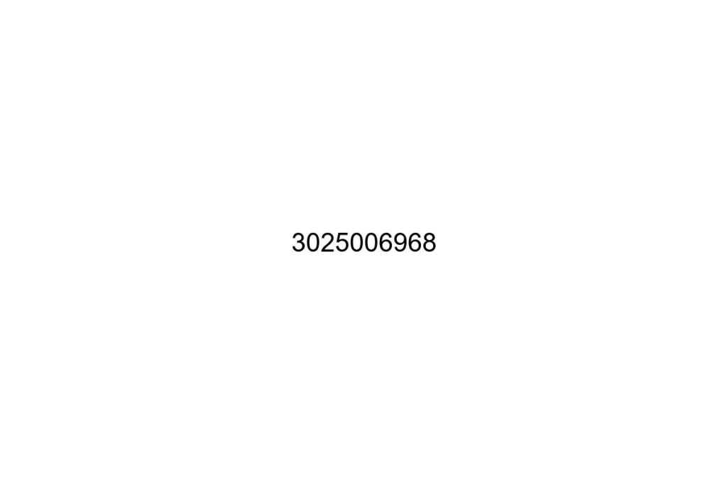 3025006968