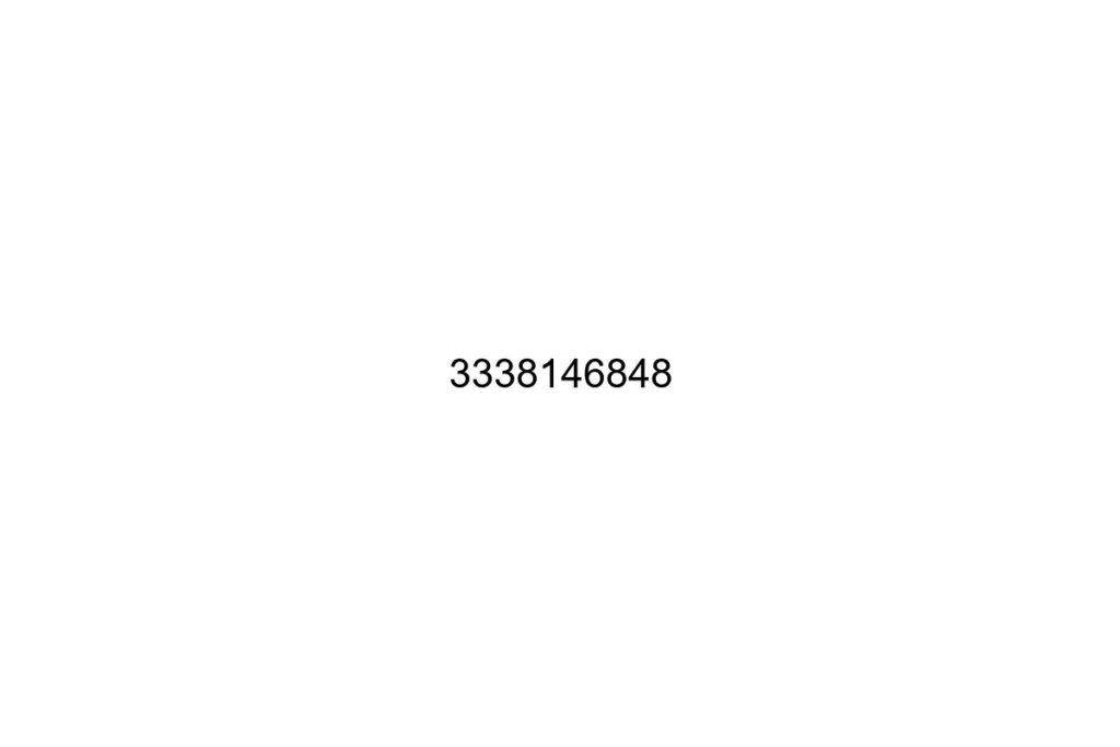 3338146848