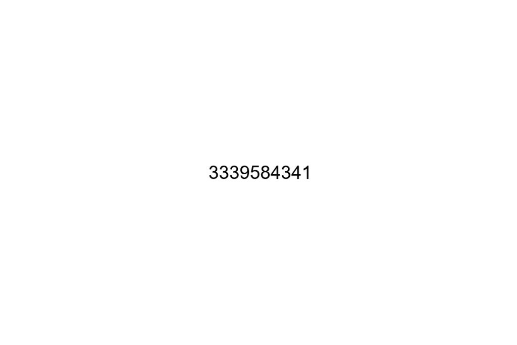 3339584341
