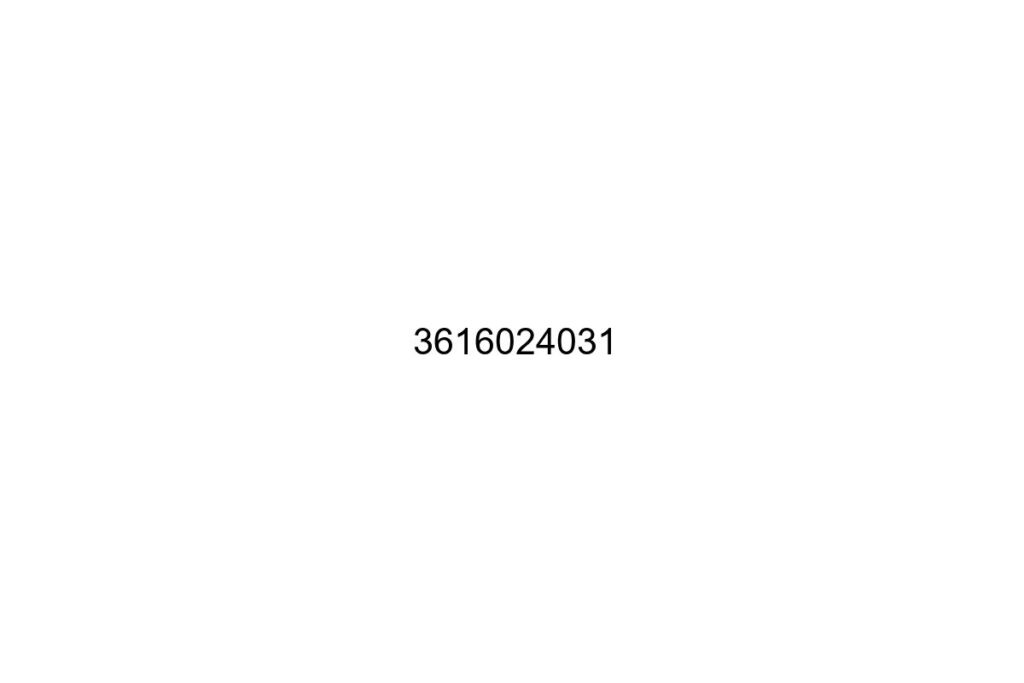 3616024031