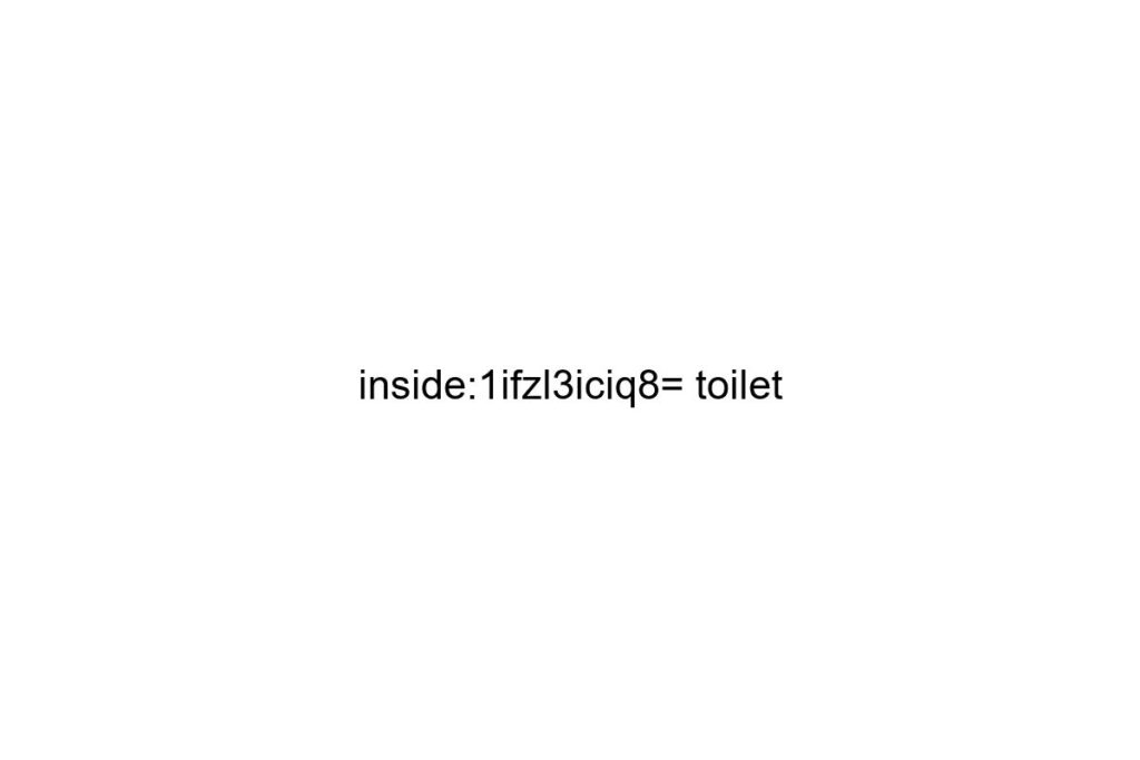 inside 1ifzl3iciq8 toilet