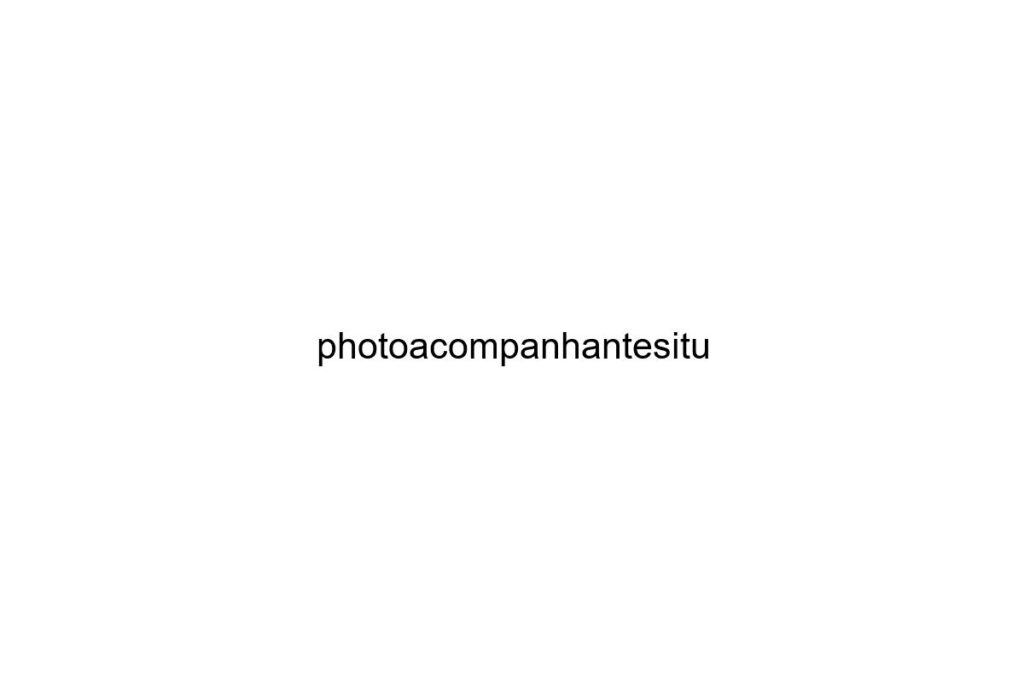photoacompanhantesitu