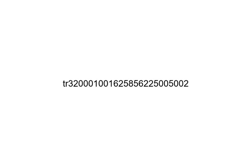 tr320001001625856225005002