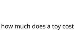 how much does a toy cost