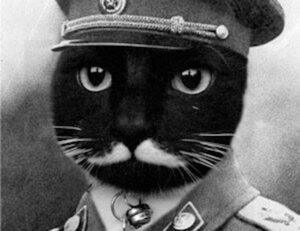 070005043c160permanente