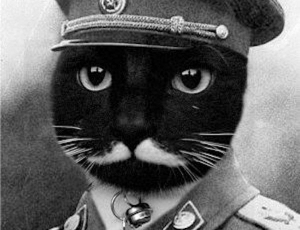 070005043c160permanente