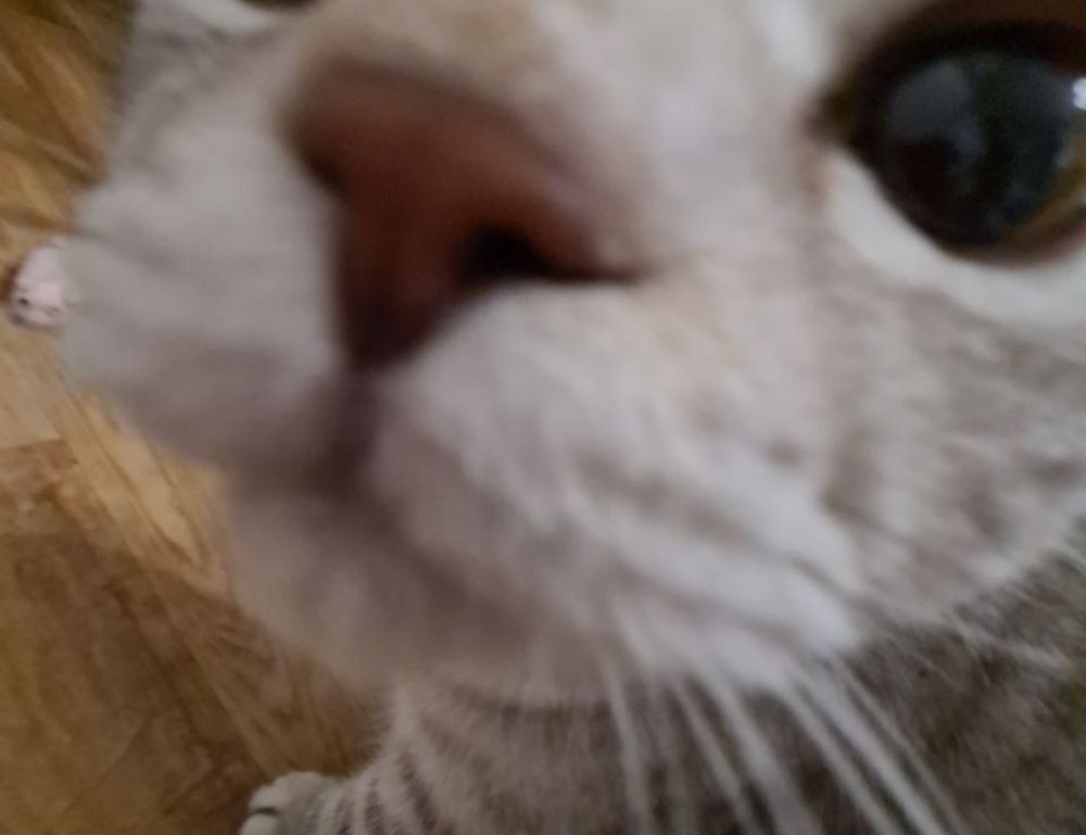 aram.eonversenypiacidiktalas.hu