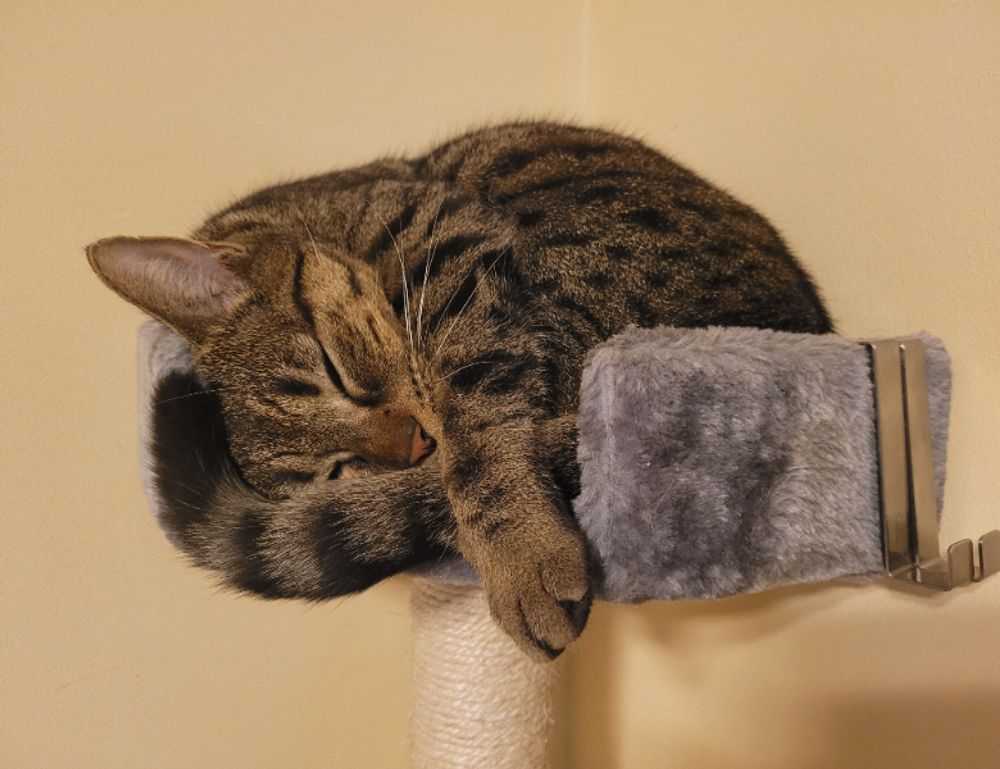 lqnnld1rlehrqb3n0yxrpv4