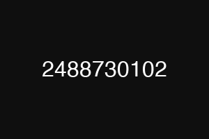 2488730102