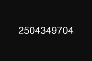 2504349704