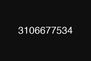 3106677534