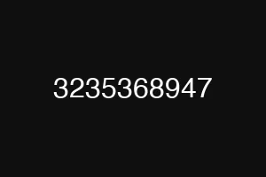 3235368947
