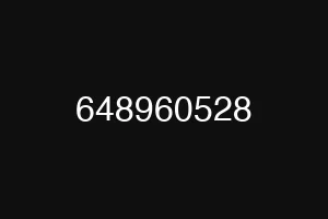 648960528