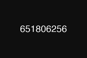 651806256