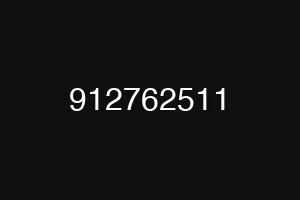 912762511