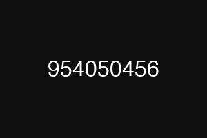 954050456