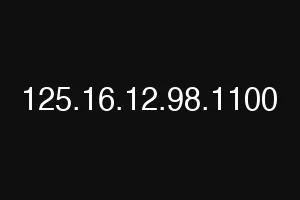 125.16.12.98.1100