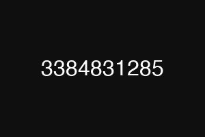 3384831285