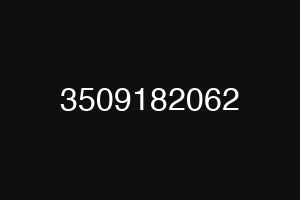 3509182062