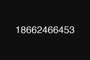 18662466453