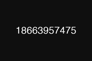 18663957475