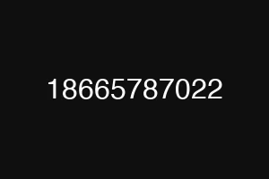 18665787022