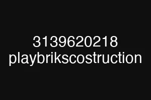 3139620218 playbrikscostruction