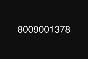 8009001378