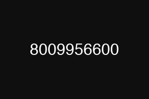 8009956600