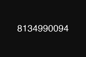 8134990094
