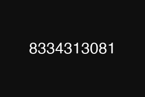 8334313081