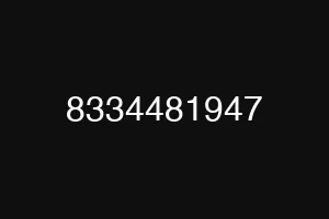 8334481947
