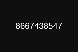 8667438547