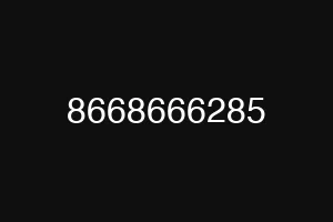 8668666285
