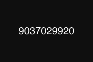 9037029920