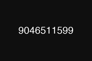 9046511599