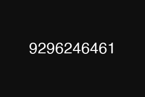 9296246461