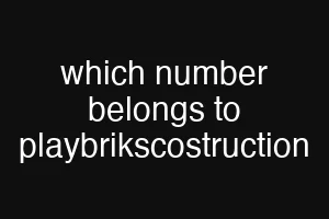 which number belongs to playbrikscostruction